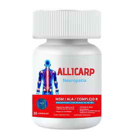 ALLICARP (Copia)